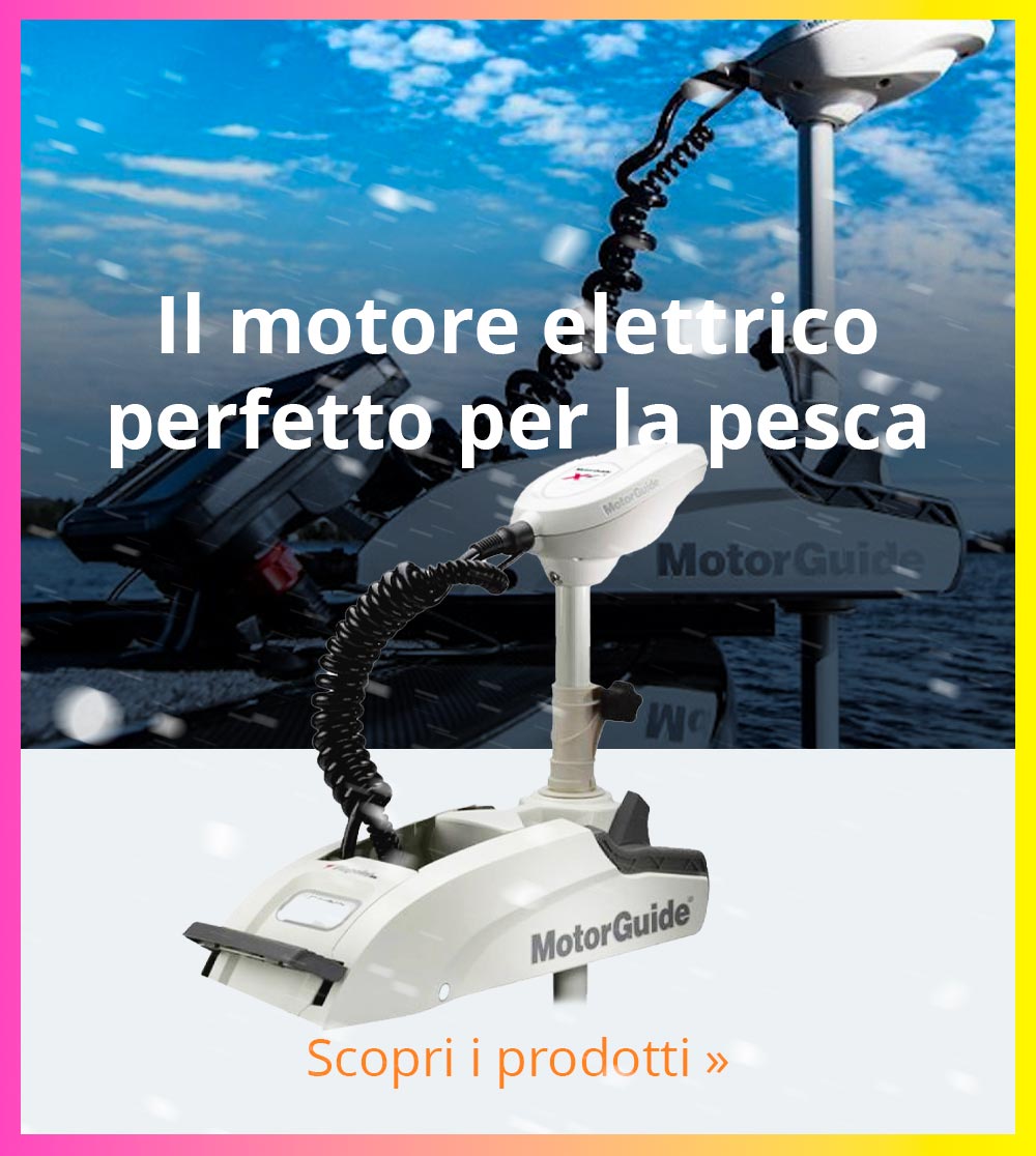 Motore elettrico